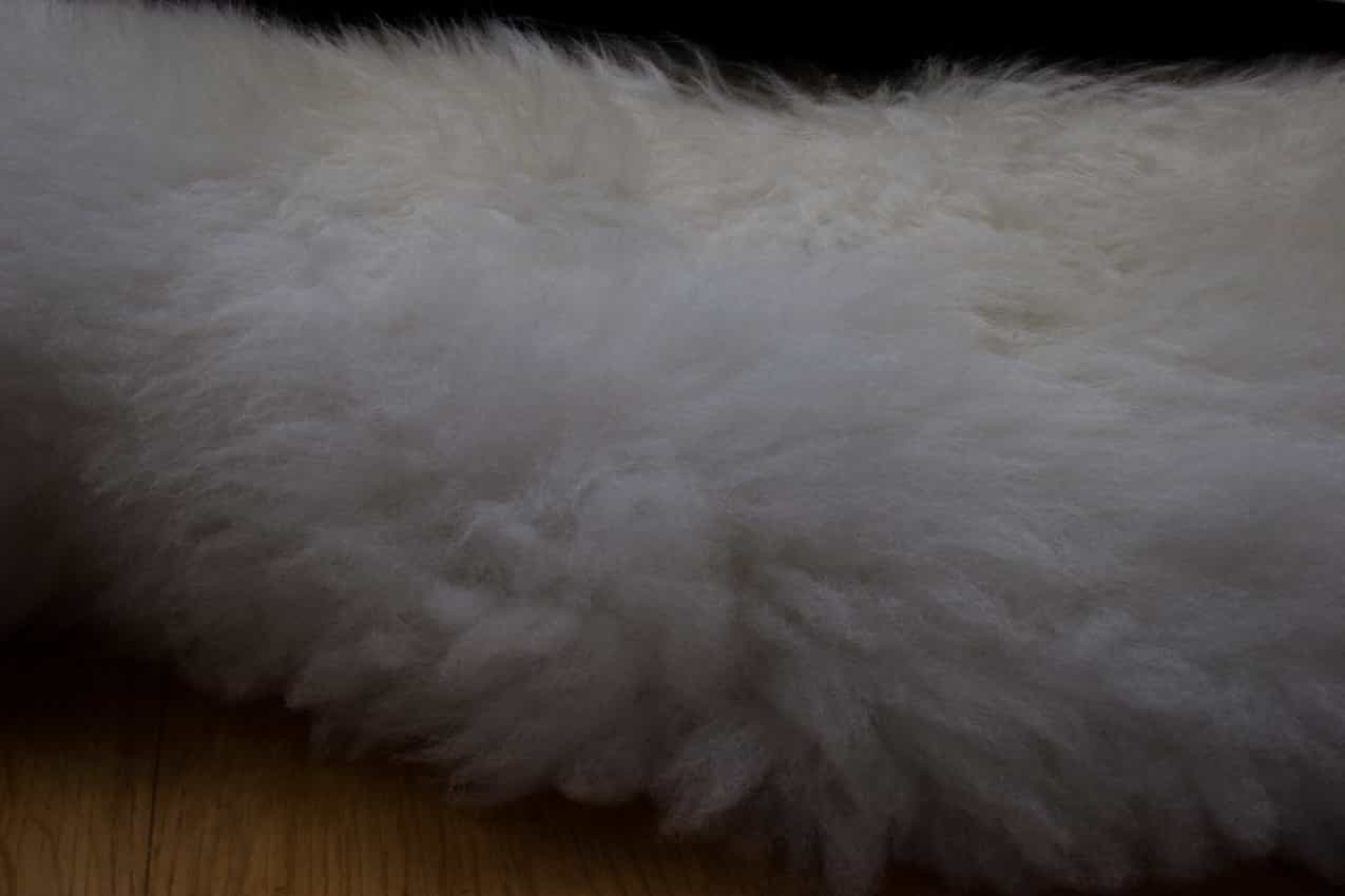 Sheepskins and hides